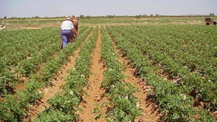 Resumen 10:00 am: Agricultores piden mayor control para evitar alimentos de contrabando