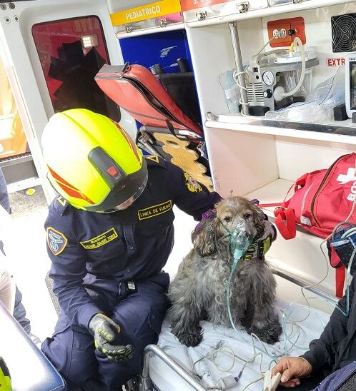 Crédito: Bomberos Manizales.