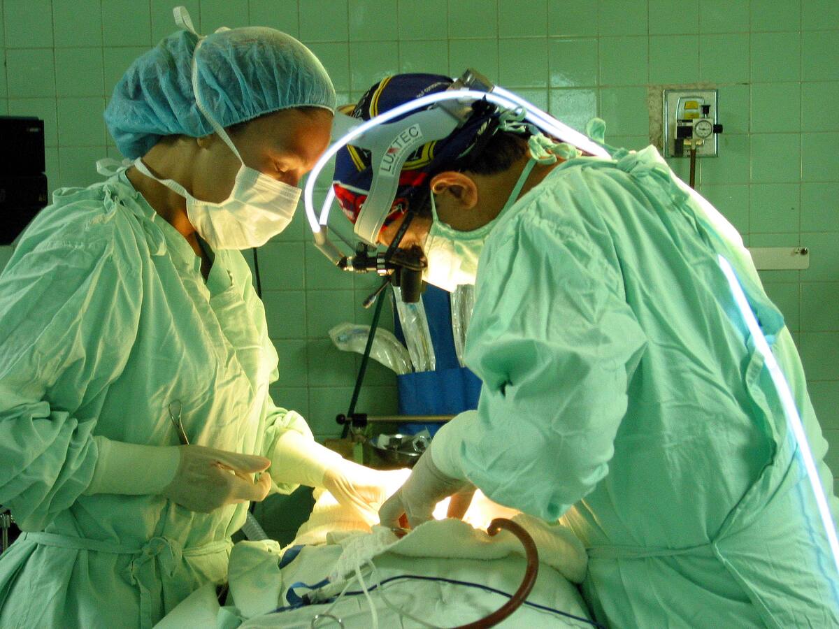 Cirujanos realizan el primer trasplante combinado de bomba cardiaca y riñón de cerdo