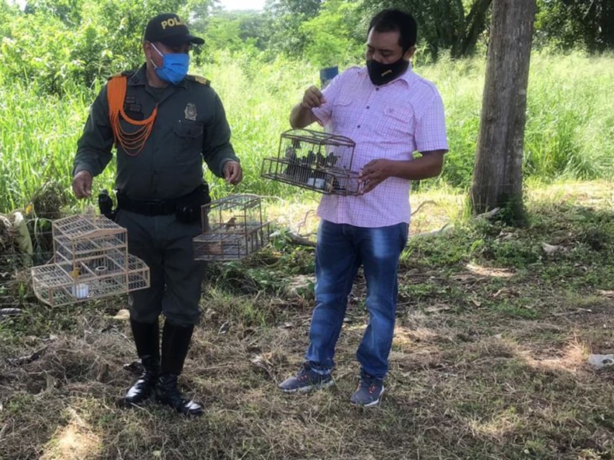 En Bolívar sorprenden a adolescentes con 23 especies de aves en cautiverio