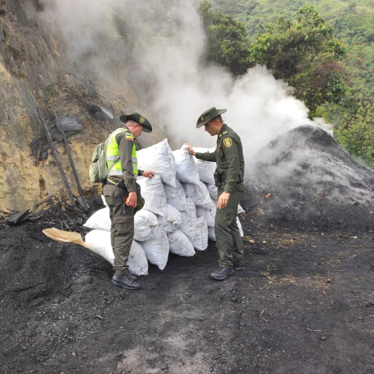 Ocho personas fueron capturadas por contaminación ambiental y quema de árboles