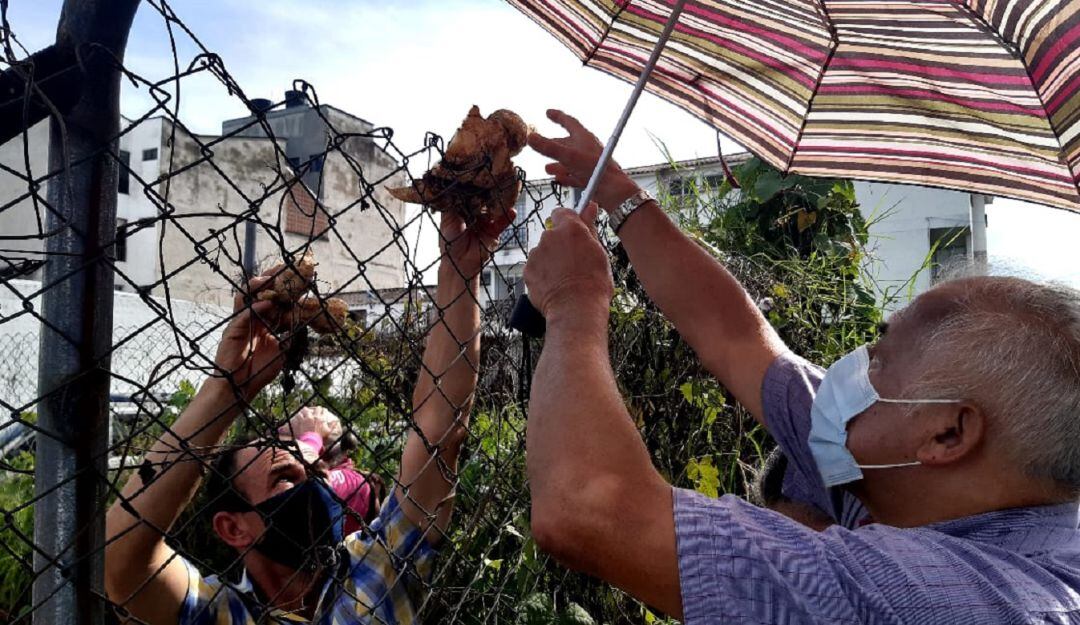 Cualquier medio o forma esa válida para comprar productos a los campesinos en Armenia