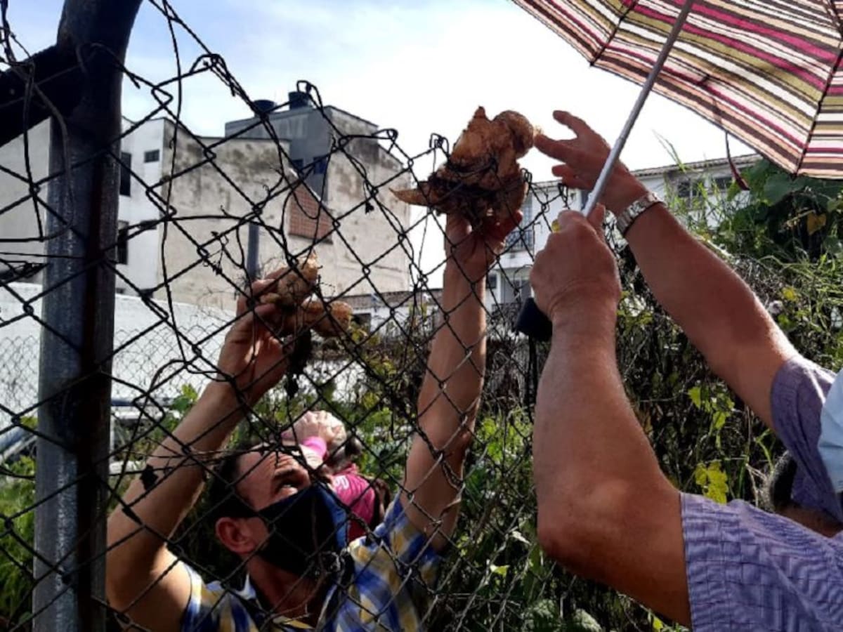 En un hora vendí lo que me demoraba tres horas:campesino de Córdoba,Quindío