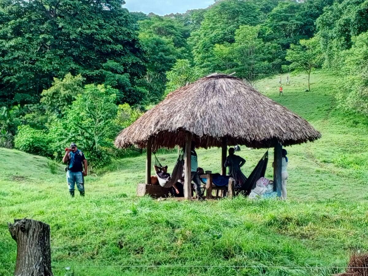 Autoridades anunciaron estrategias para evitar futuras invasiones en Arboletes