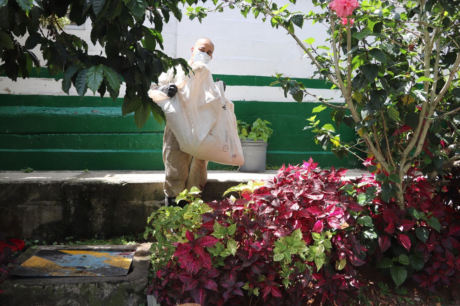 Abono para espacios verdes en Medellín. Foto: Alcaldía de Medellín.