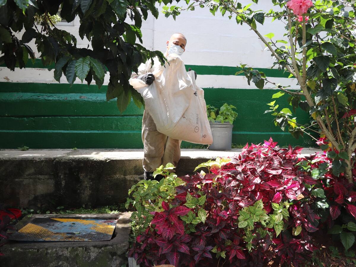 La Perla convierte 34 toneladas de excretas en abono cada mes para los espacios verdes de Medellín