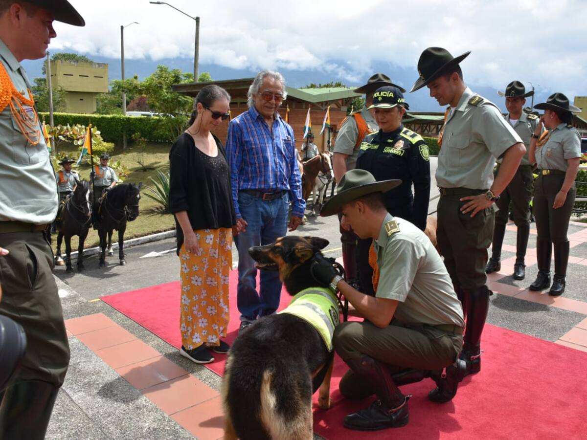 En Quindío se jubilaron y adoptaron perros y caballos de la Policía de Carabineros