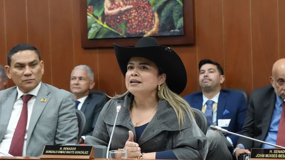 “Con el presupuesto que tenemos, la ANT va a cumplir”: Directora Lina María Garrido