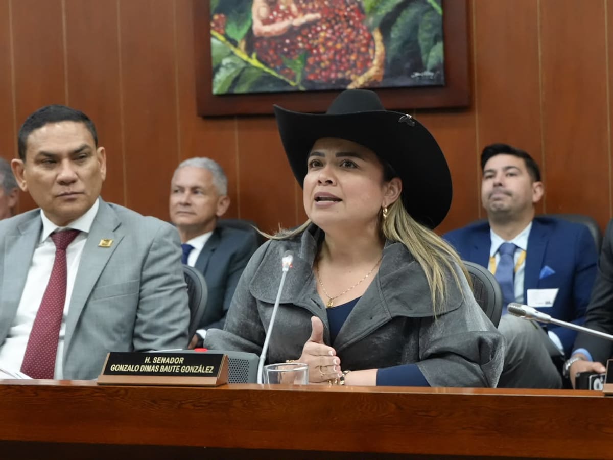 “Con el presupuesto que tenemos, la ANT va a cumplir”: Directora Lina María Garrido