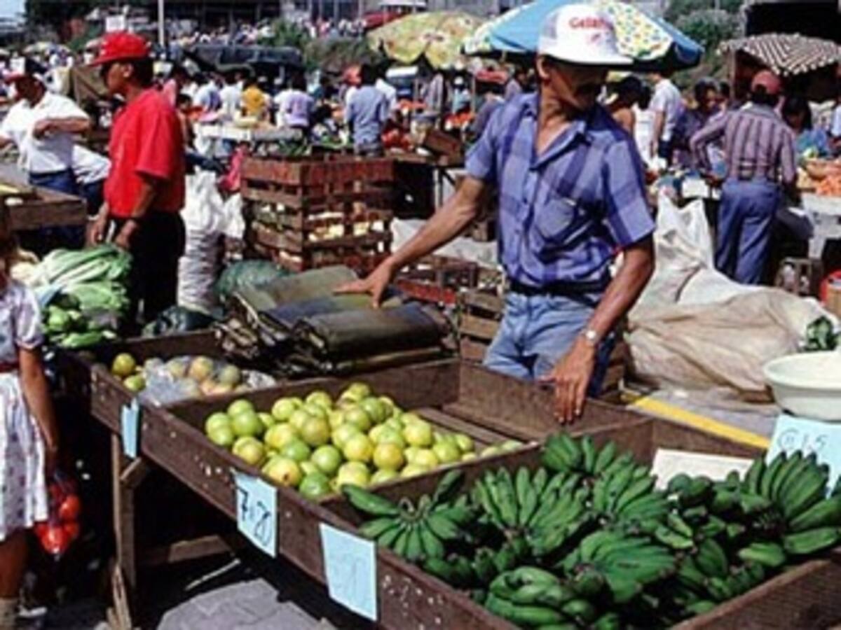 Distrito propone crear gran empresa de alimentos en Bogotá, administrada por campesinos