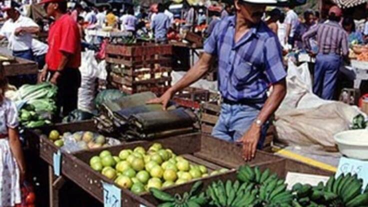 Distrito propone crear gran empresa de alimentos en Bogotá, administrada por campesinos