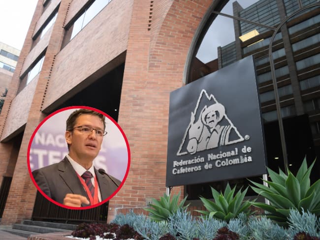 Así se tejió el acuerdo entre el Gobierno y cafeteros sobre el Fondo del Café: “Minagricultura fue un bálsamo”, dice Bahamón