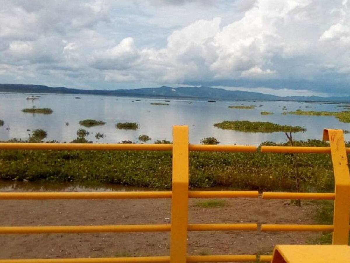 Mortandad de peces en el embalse El Guájaro: CRA advierte de contaminación