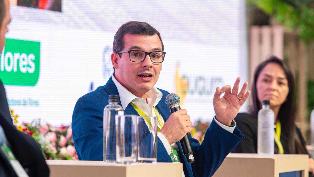 Bananeros del Magdalena le piden al Gobierno un plan de choque ante amenazas e inseguridad