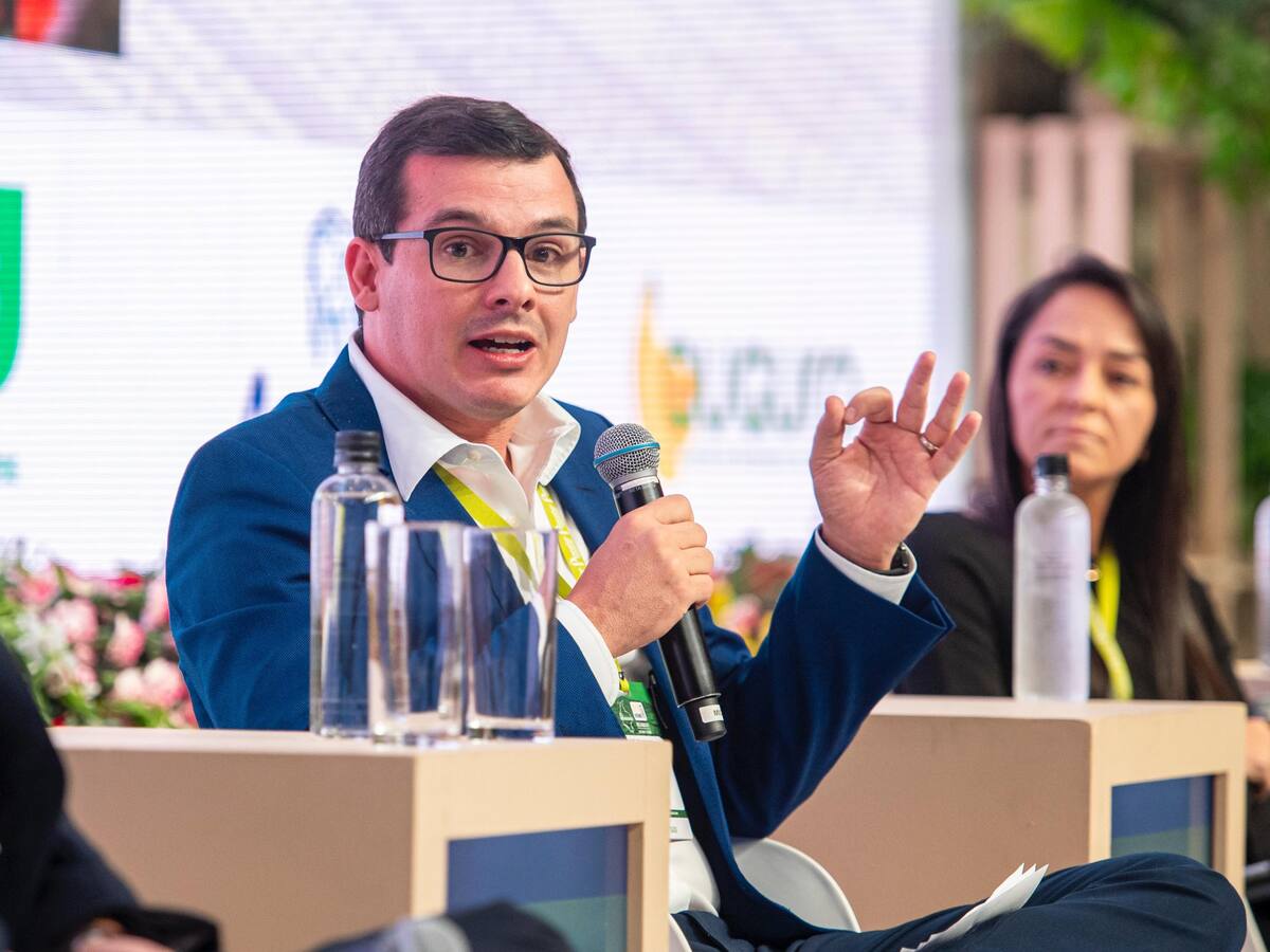 Bananeros del Magdalena le piden al Gobierno un plan de choque ante amenazas e inseguridad