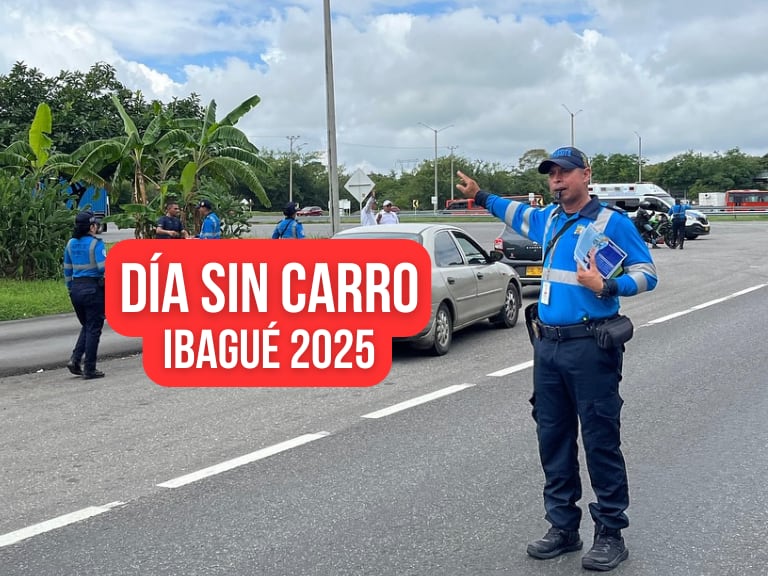 Día sin carro y sin moto en Ibagué 2025