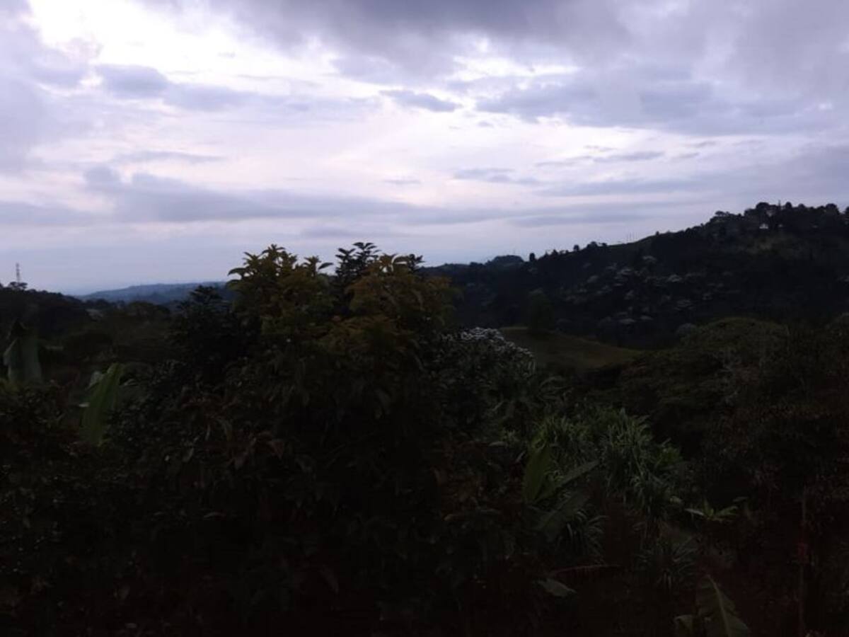 Las noticias más importantes de Armenia y el Quindío, miércoles 10 de junio