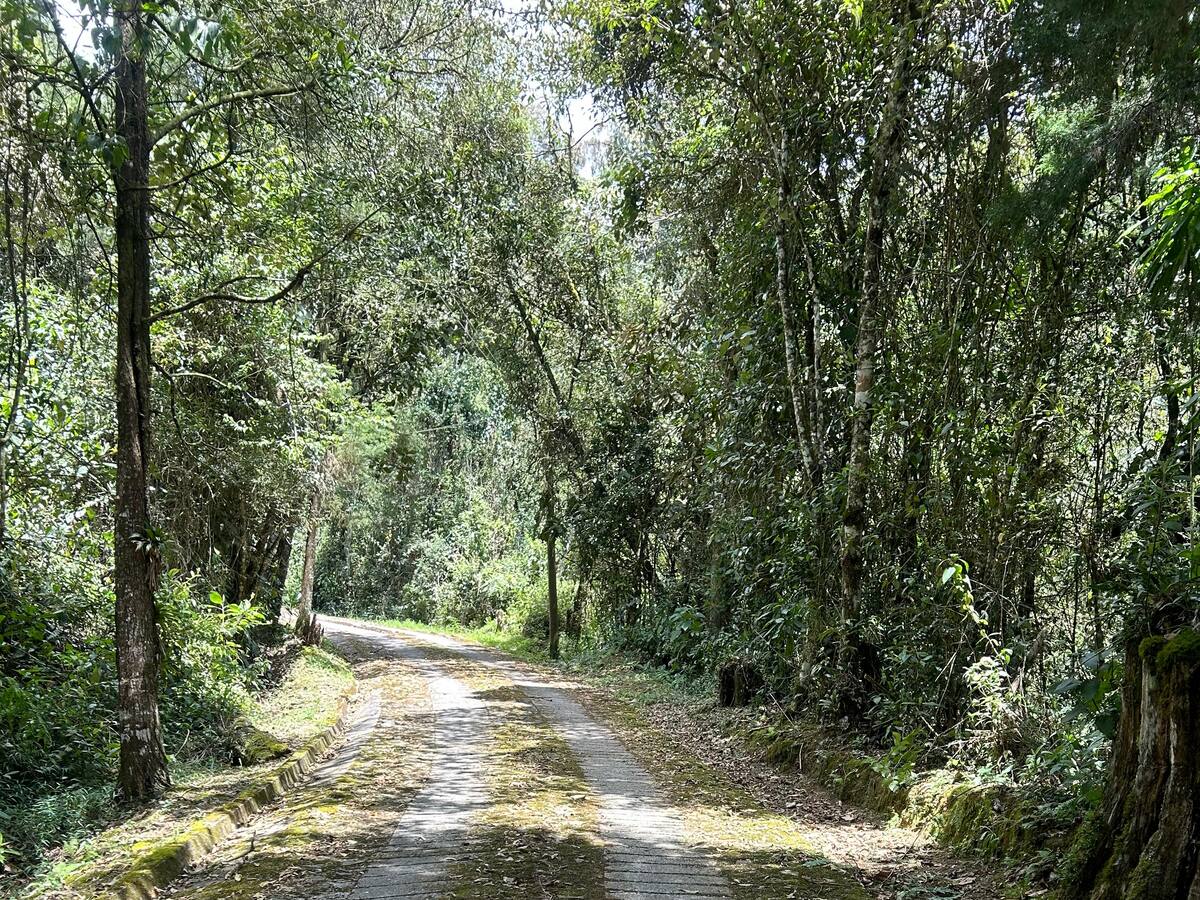 Corantioquia pidió proteger flora y fauna en Santa Elena durante la Feria de las Flores