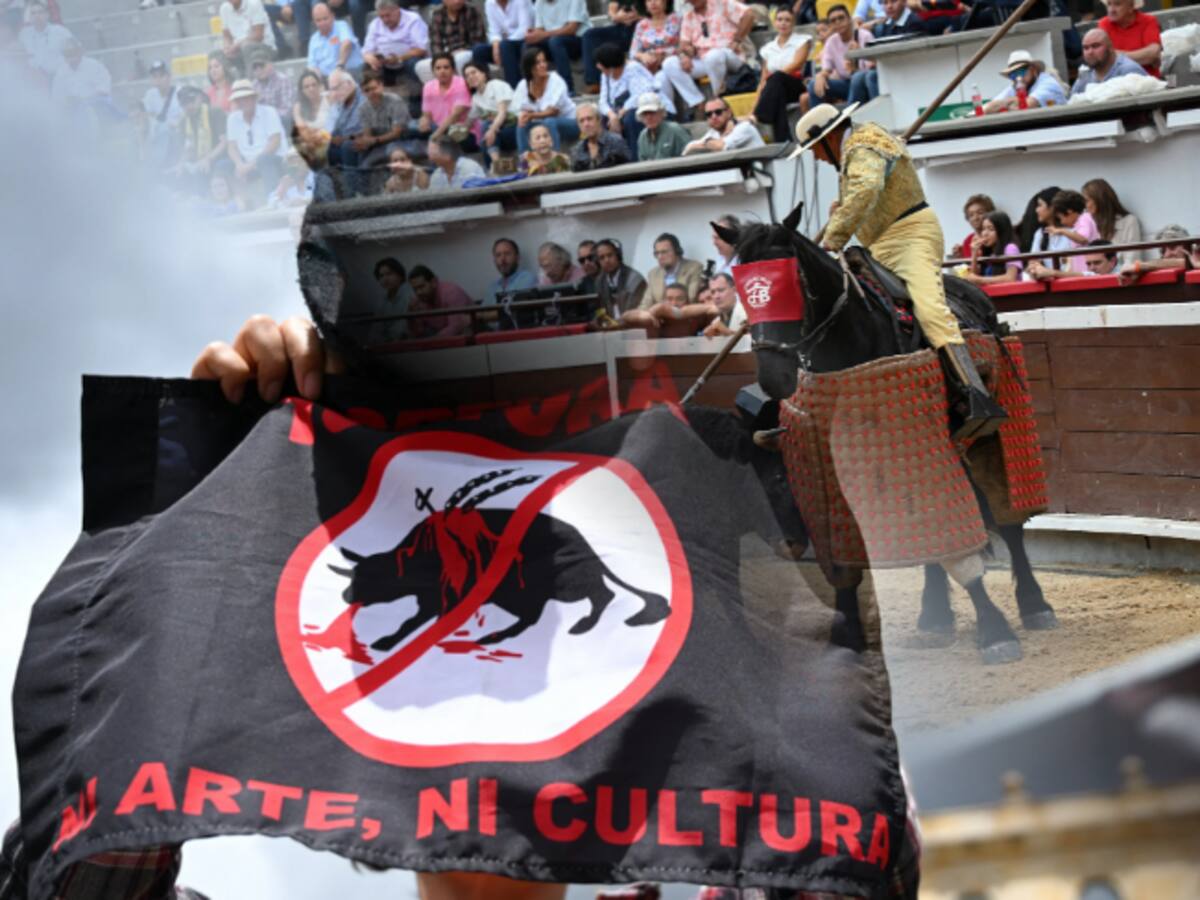 Corte Constitucional prohíbe los toros coleados, las corralejas y las peleas de gallos en Colombia