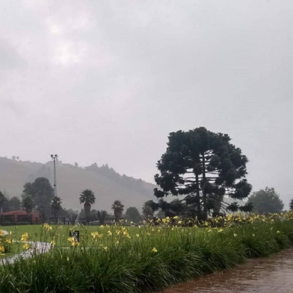 Manizales se prepara para el primer Punto Outlet de Turismo