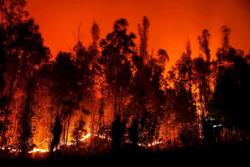 TOPSHOT - People fight a fire in Puren, Araucania region, Chile on February 4, 2023. - At least 23 people have died in hundreds of forest fires whipped up amid a blistering heat wave in south central Chile, a senior  government official said Saturday night. (Photo by JAVIER TORRES / AFP) (Photo by JAVIER TORRES/AFP via Getty Images)
