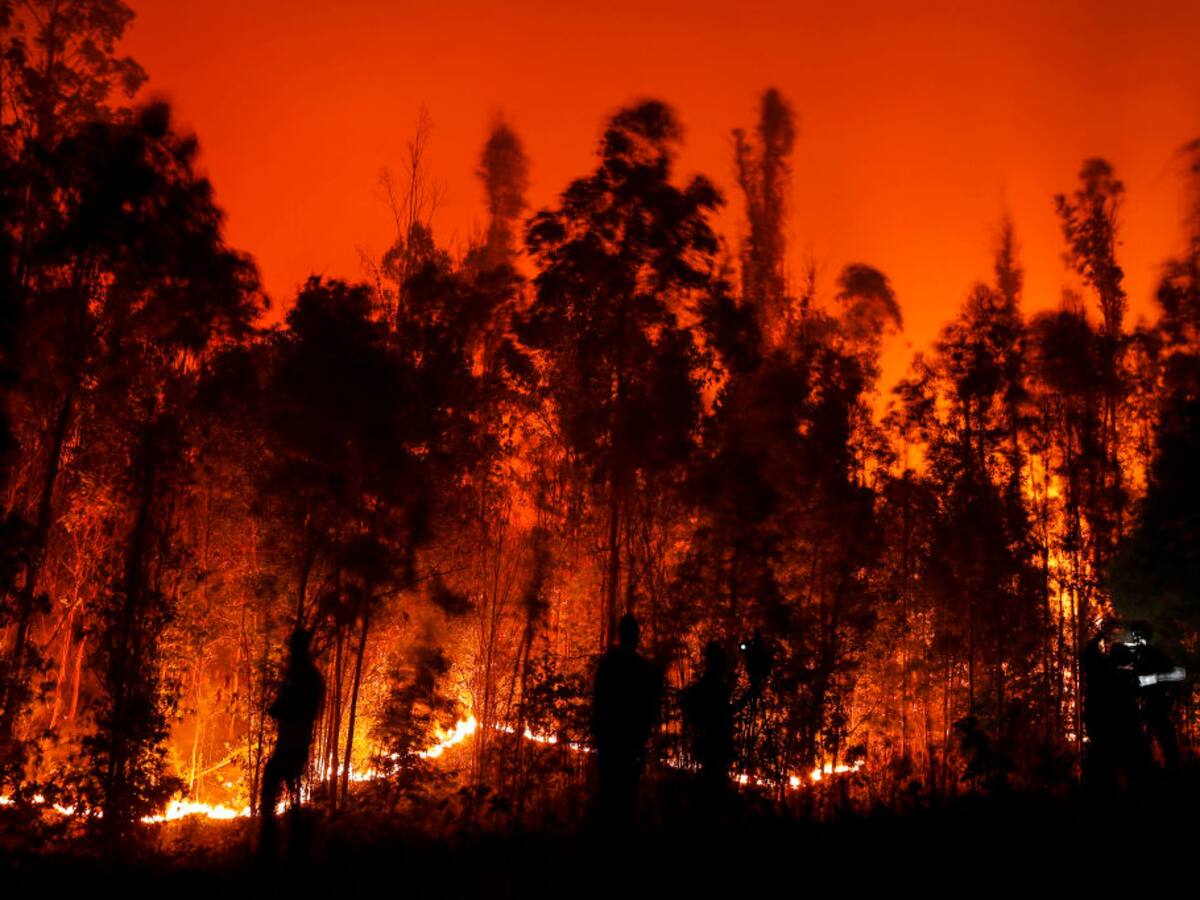 Los incendios en Chile cumplen una semana sin poder ser controlados