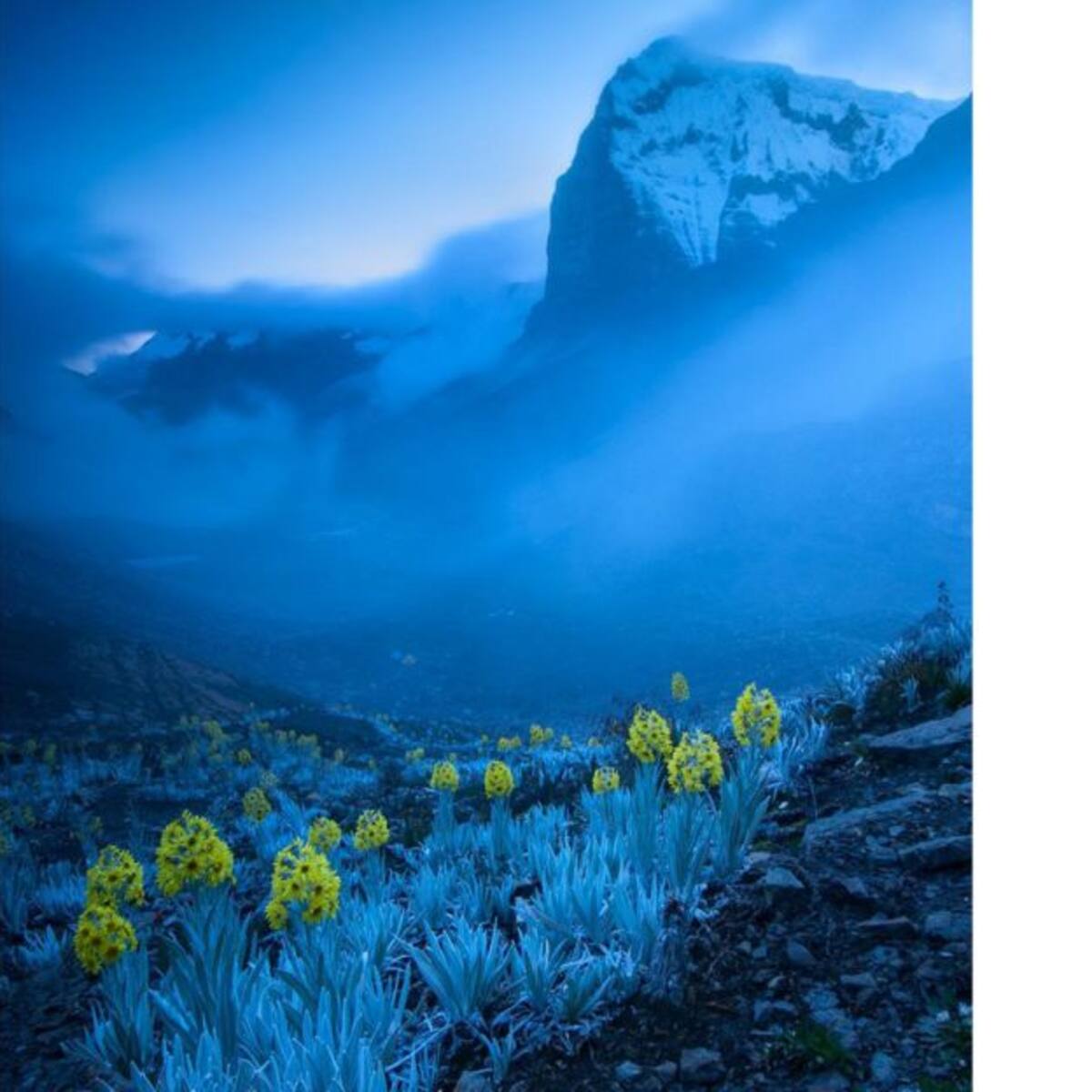 Foto de Eisenband en Nevado El Cocuy de Boyacá fue galardonada en Londres