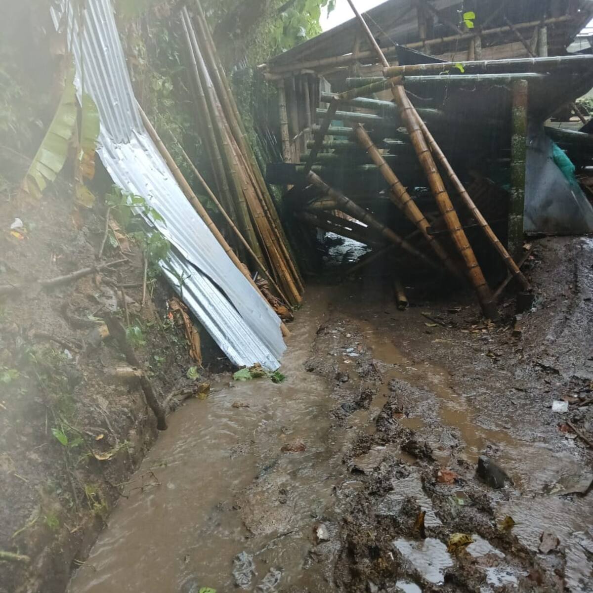 ¿Qué emergencias se registraron en Quimbaya, Quindío por las fuertes lluvias?
