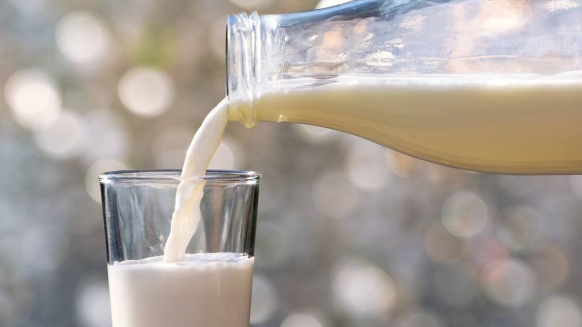 Los ganaderos del país invitan a consumir leche 100% colombiana
