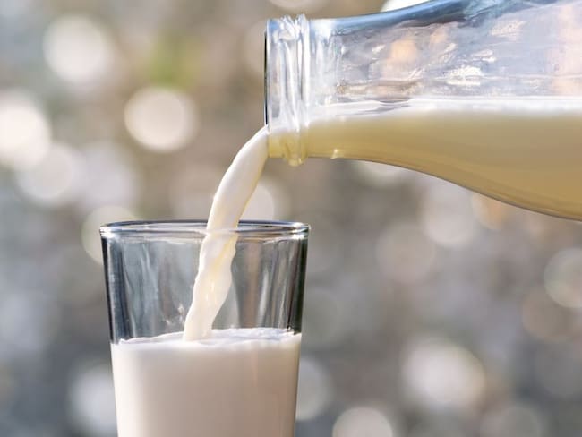 Los ganaderos del país invitan a consumir leche 100% colombiana