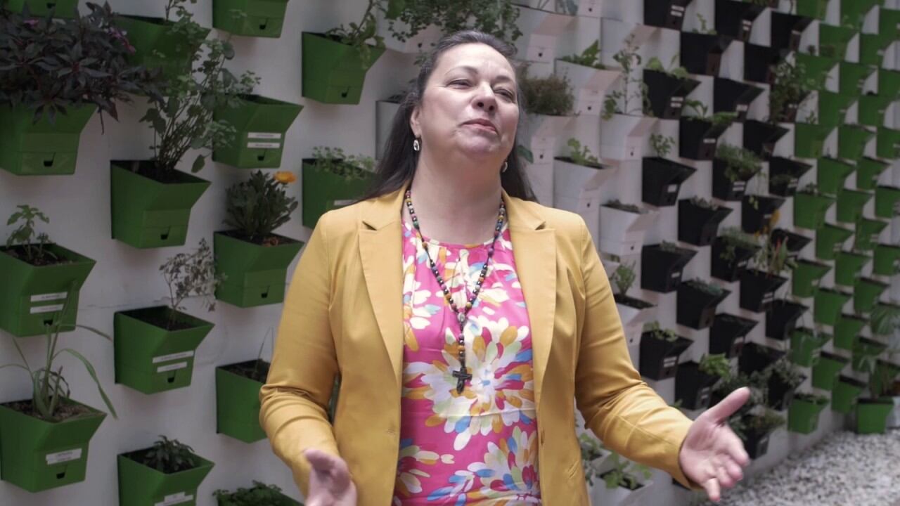 De acuerdo con la Procuraduría son señalados al parecer de aparente corrupción al sufragante.