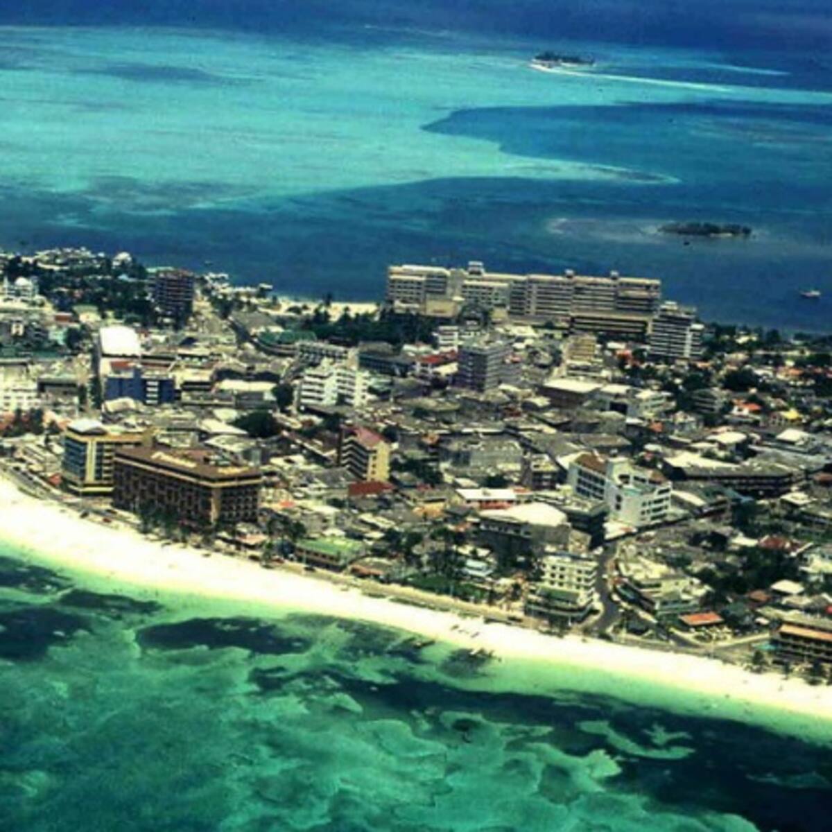 Alertan enfermedad que daña ecosistemas de San Andrés, Providencia y Santa Catalina