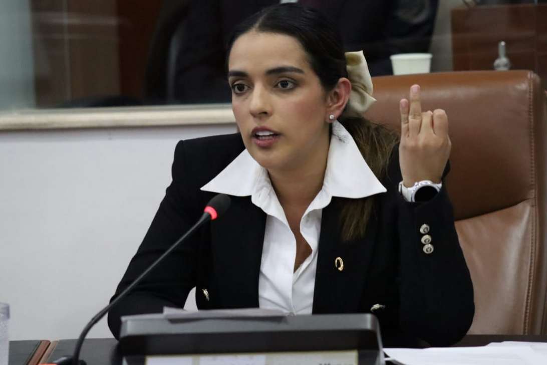 La representante pide que se impongan otras medidas, aparte de la salvaguarda al acero. Foto | Archivo