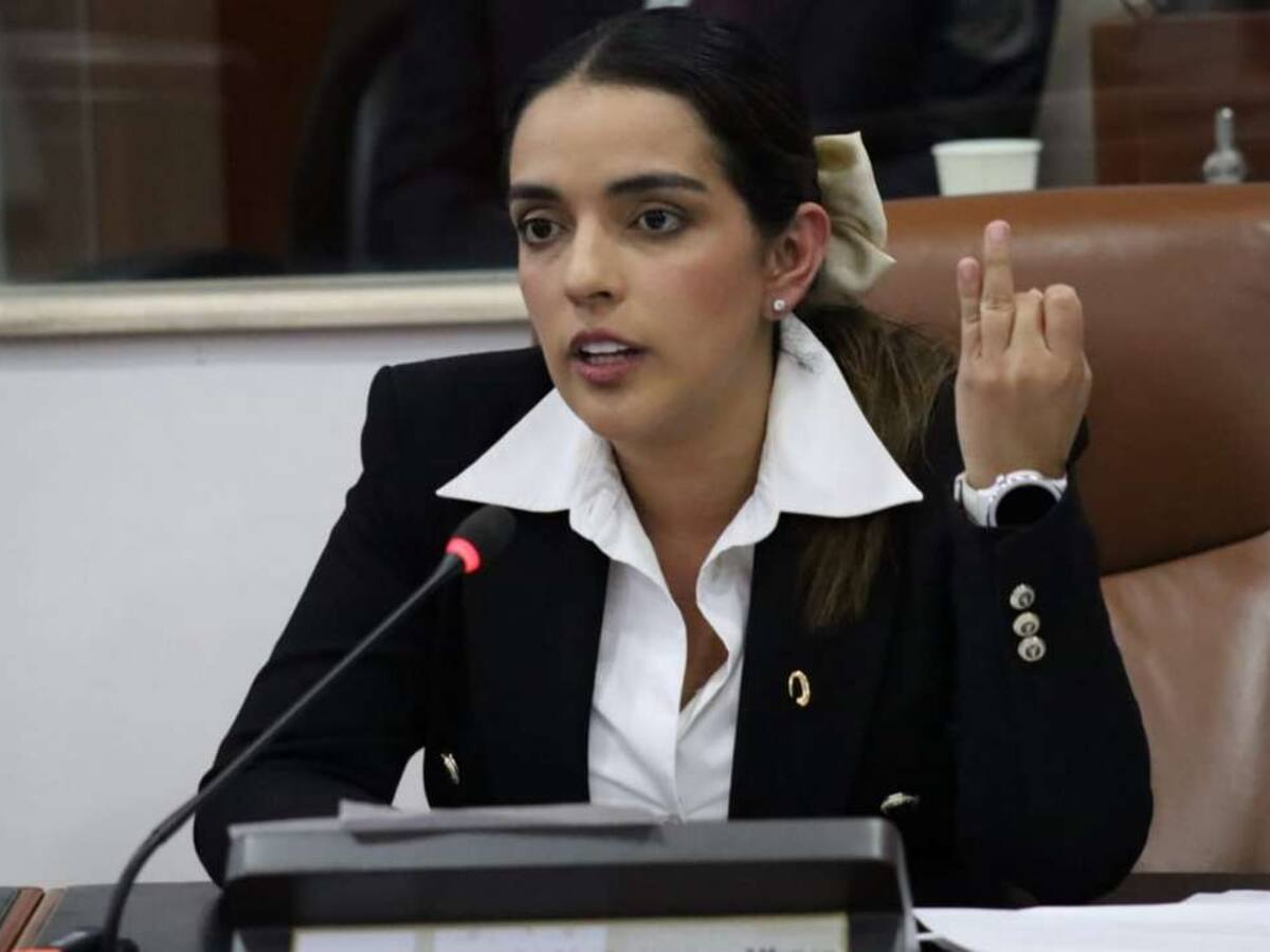 Congresista boyacense Ingrid Sogamoso solicitó audiencia para abordar crisis del acero