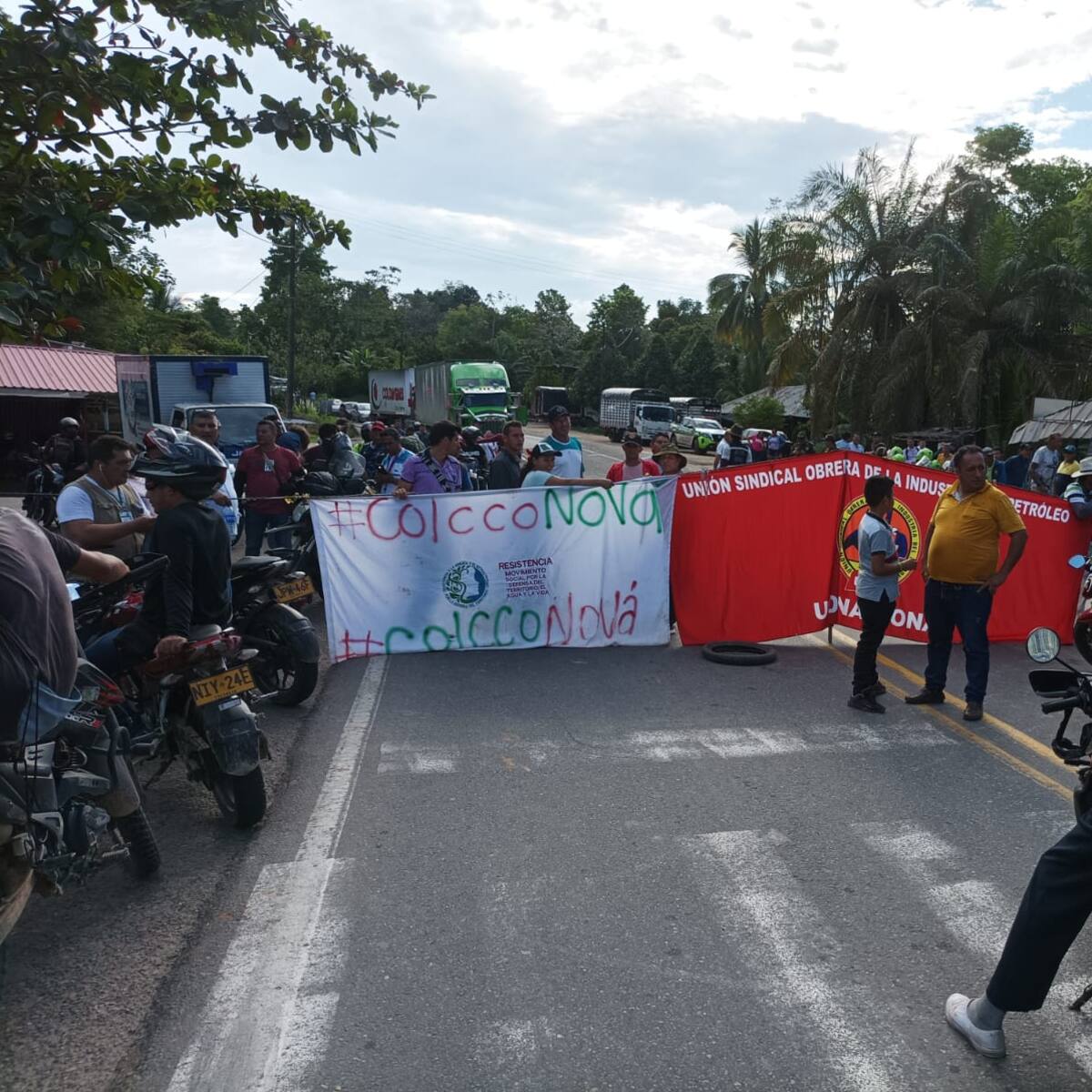 Minambiente demanda licencia ambiental de Colcco