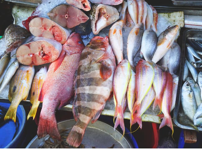 Bandeja de diferentes tipos de pescado, en un mercado de comida de mar (Getty Images)