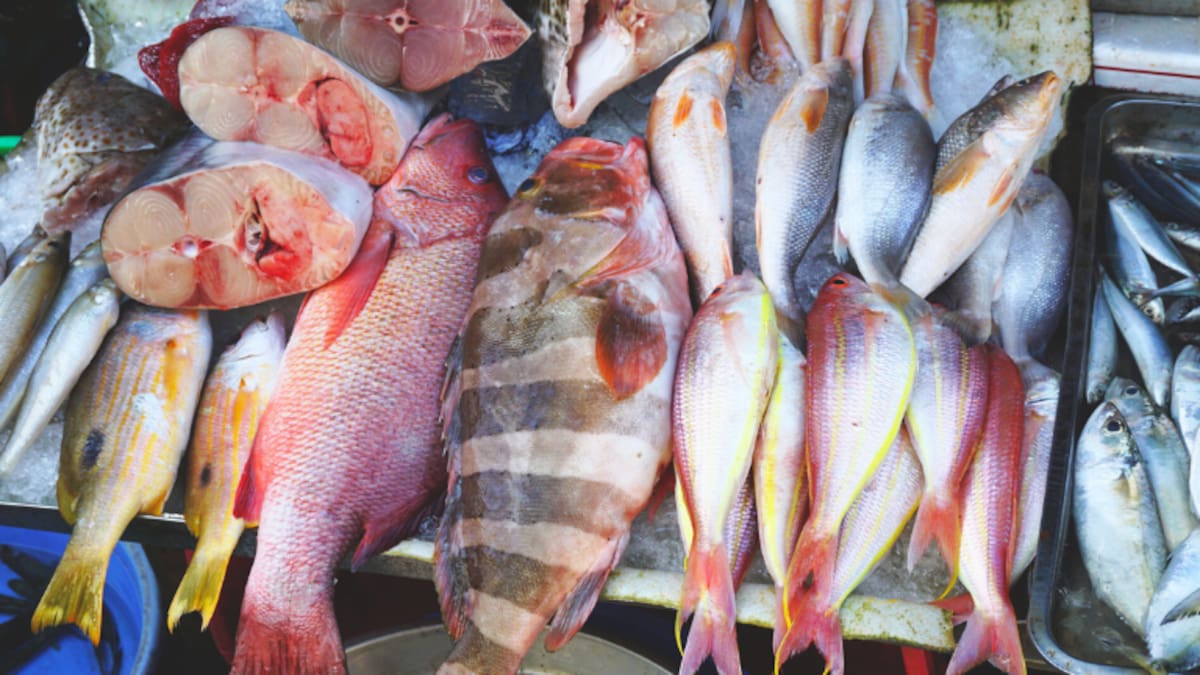 4 tipos de pescado que los médicos recomiendan evitar: ¿podrían afectar la salud?