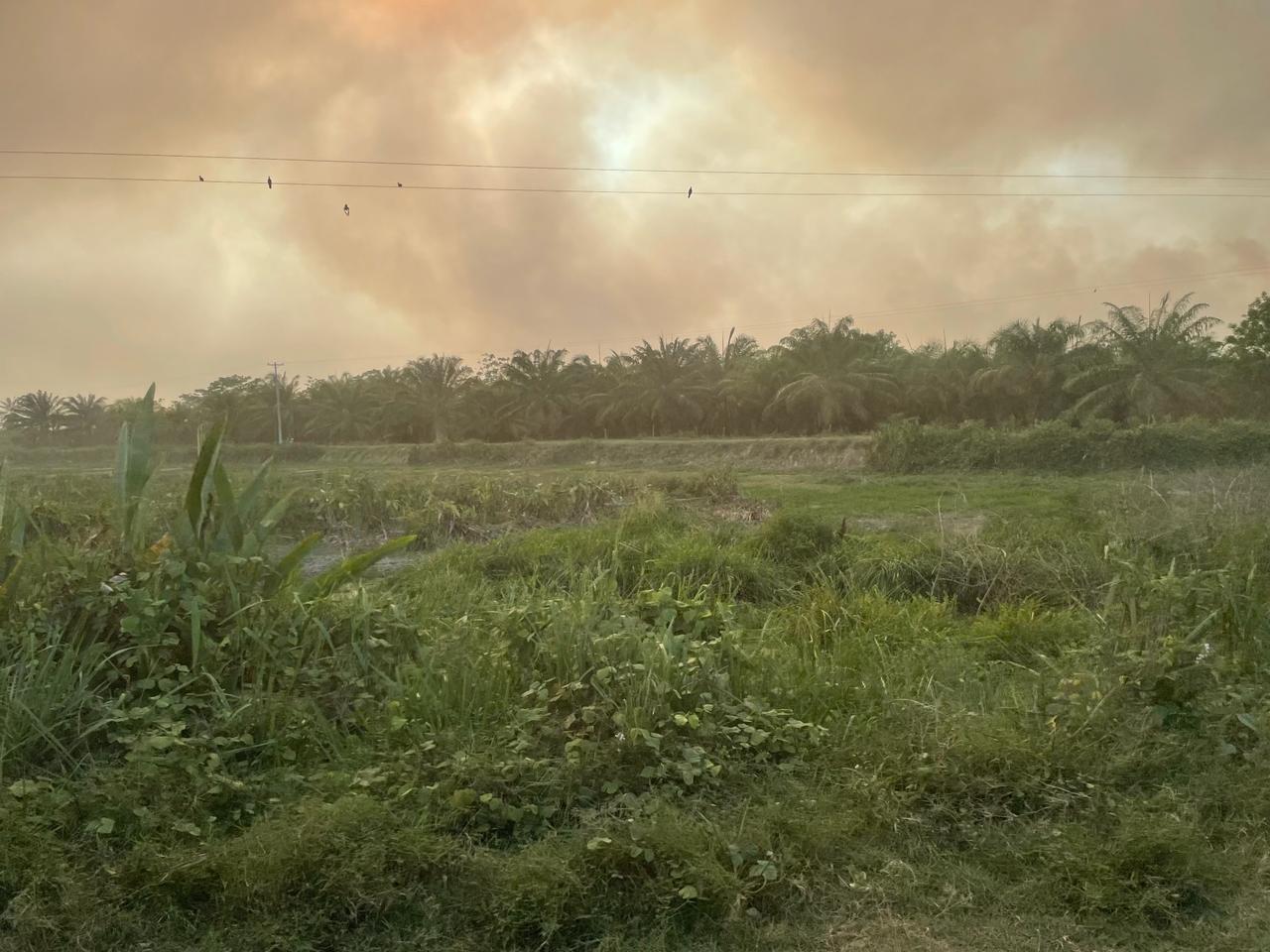 Incendio Puerto Wilches