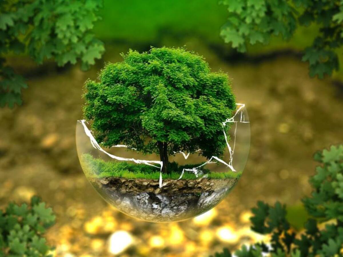 ¿De qué manera se están formando los niños y los jóvenes sobre la crisis climática?