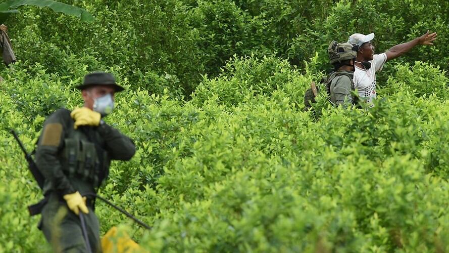 Imagen de referencia. Foto: Colprensa