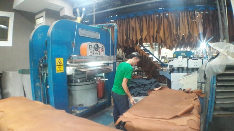 Producción de cueros en Quindío