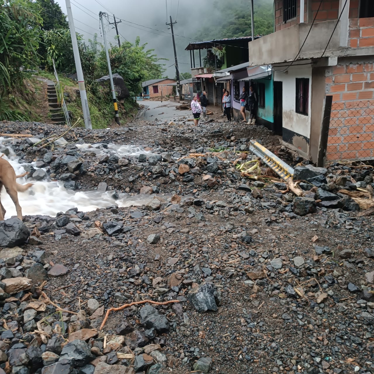 Viviendas afectadas por avenida torrencial en Guadalupe, Antioquia. Foto: Denuncias Antioquia.