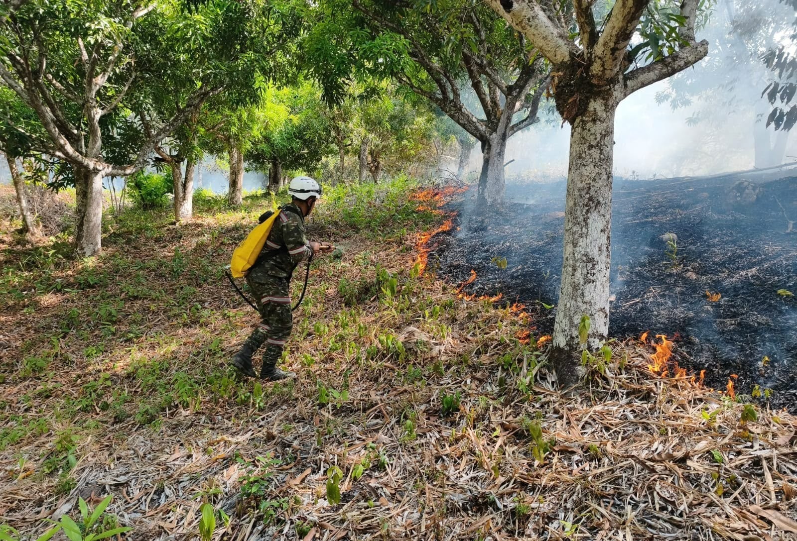 UNGRD anuncia $4.000 millones para combatir incendios forestales en Tolima: hay ocho activos. Foto: Unidad Nacional para la Gestión del Riesgo de Desastres.