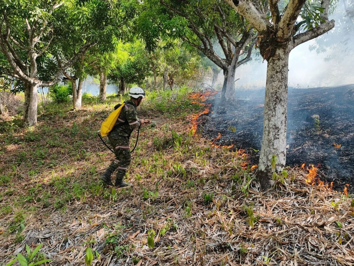 UNGRD anuncia $4.000 millones para combatir incendios forestales en Tolima: hay ocho activos