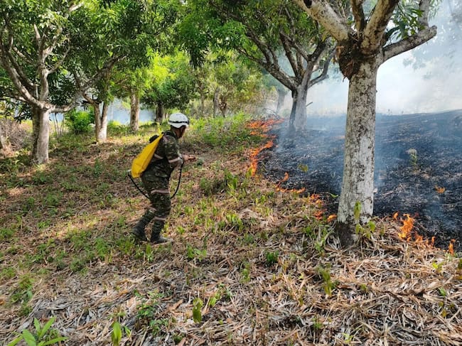 UNGRD anuncia $4.000 millones para combatir incendios forestales en Tolima: hay ocho activos. Foto: Unidad Nacional para la Gestión del Riesgo de Desastres.