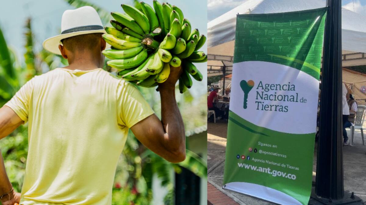 Aprobada la constitución de la zona de reserva campesina en el Catatumbo