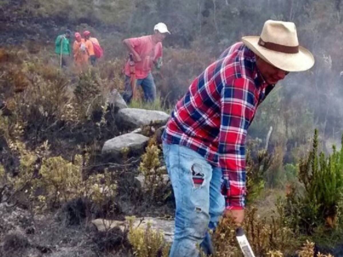 Incendio consumió cerca de 20 hectáreas de vegetación en Togüí, Boyacá