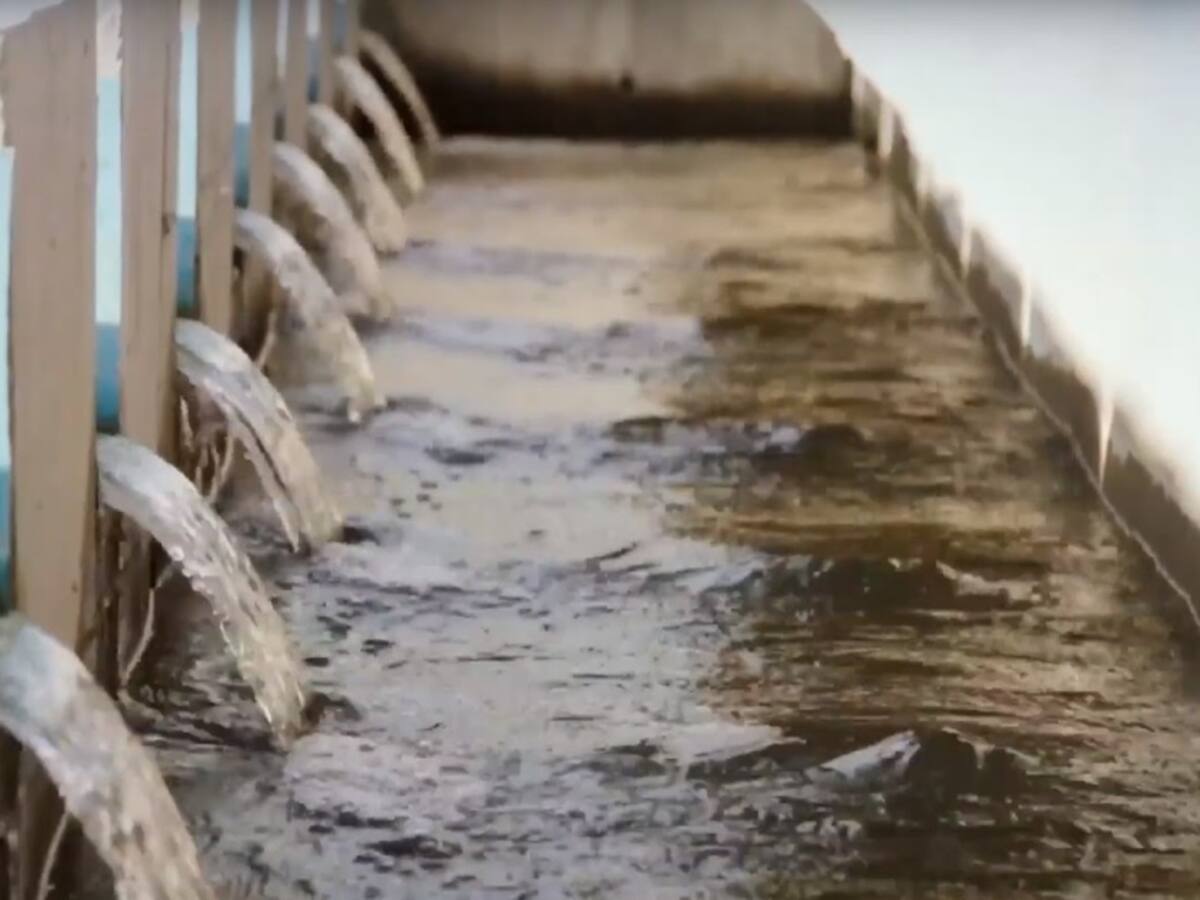 En Los Patios reclaman calidad del servicio de agua