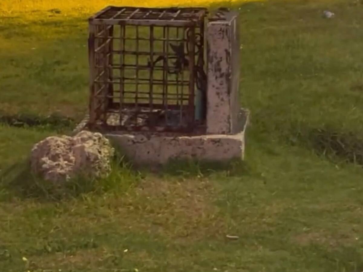 Vándalos atentan contra alumbrado público de las murallas y Avenida Santander