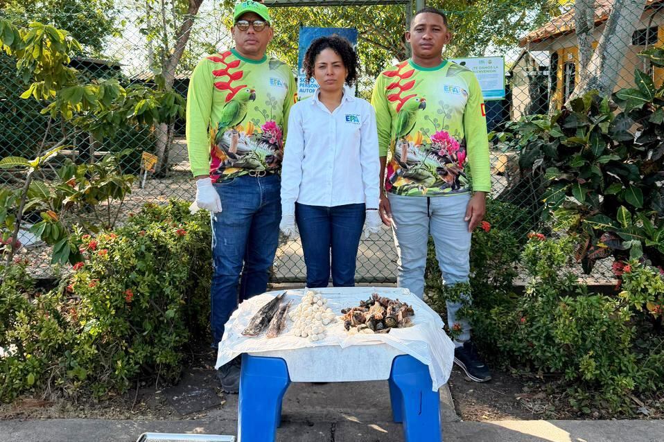 A cuidar de nuestras especies silvestres: ¡Que tu Semana Santa no sea su Viacrucis!